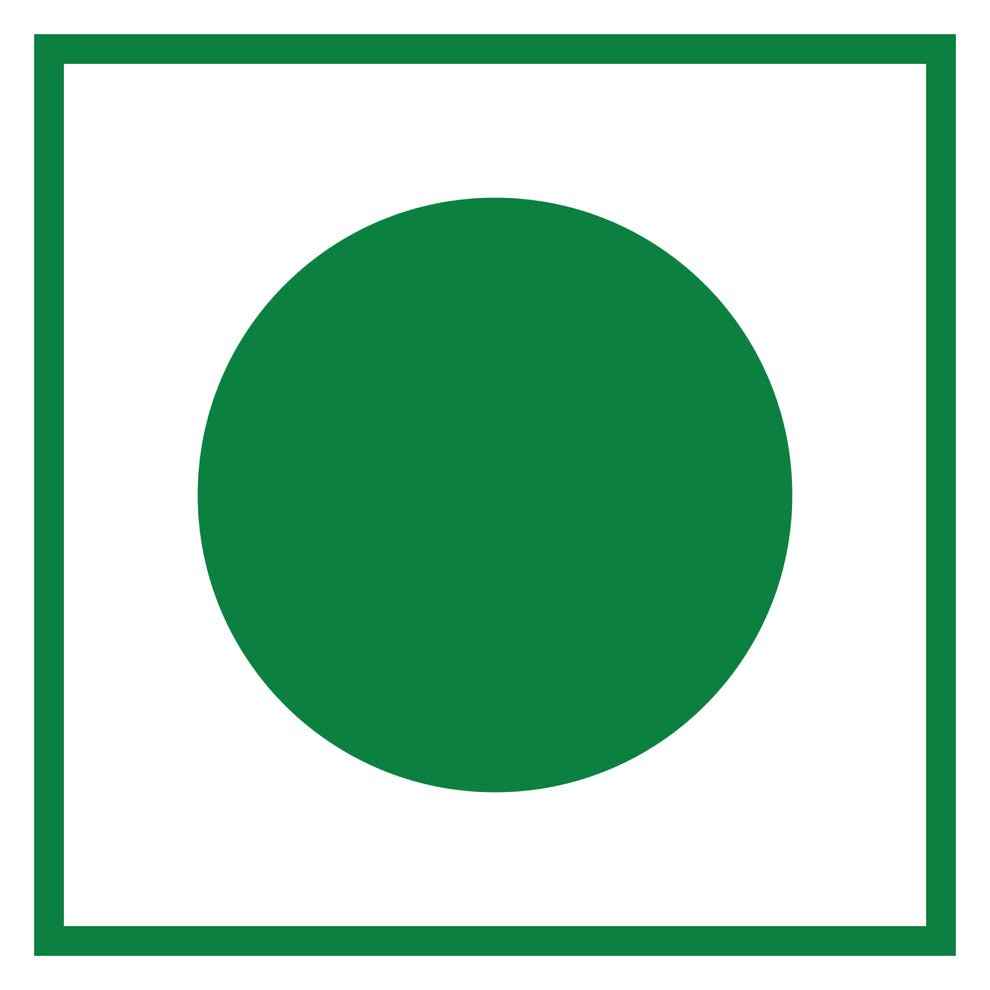 Amazon Plus Regular Tea Premix 1kg logo with green circle inside green square border